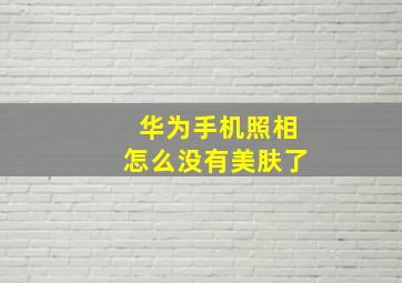 华为手机照相怎么没有美肤了