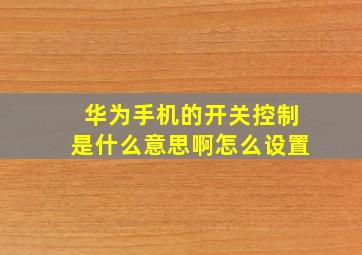 华为手机的开关控制是什么意思啊怎么设置