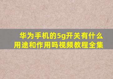 华为手机的5g开关有什么用途和作用吗视频教程全集