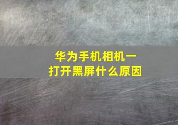 华为手机相机一打开黑屏什么原因