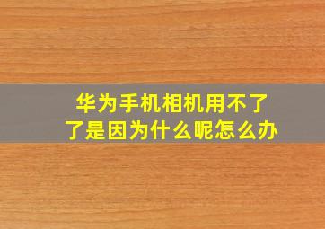 华为手机相机用不了了是因为什么呢怎么办