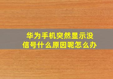 华为手机突然显示没信号什么原因呢怎么办