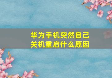 华为手机突然自己关机重启什么原因