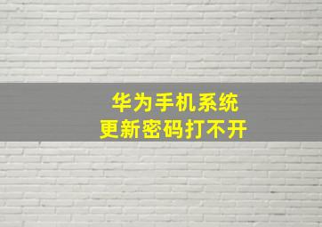 华为手机系统更新密码打不开