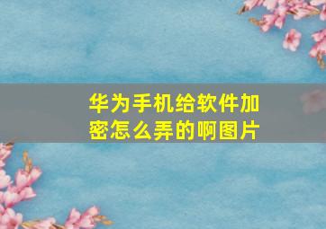 华为手机给软件加密怎么弄的啊图片