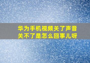 华为手机视频关了声音关不了是怎么回事儿呀