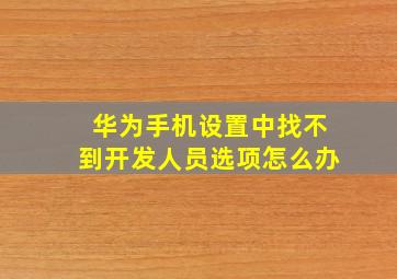 华为手机设置中找不到开发人员选项怎么办