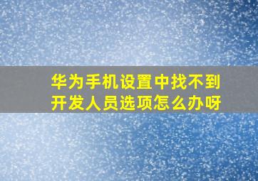 华为手机设置中找不到开发人员选项怎么办呀