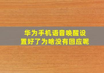 华为手机语音唤醒设置好了为啥没有回应呢