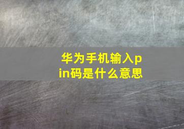 华为手机输入pin码是什么意思