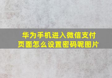 华为手机进入微信支付页面怎么设置密码呢图片