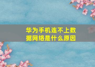 华为手机连不上数据网络是什么原因