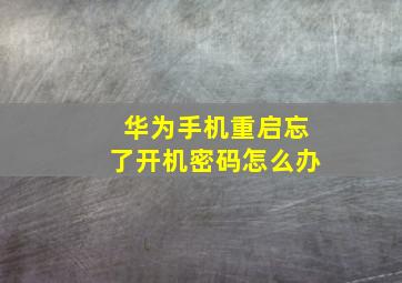 华为手机重启忘了开机密码怎么办