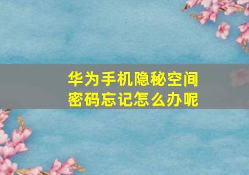 华为手机隐秘空间密码忘记怎么办呢