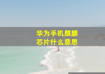 华为手机麒麟芯片什么意思