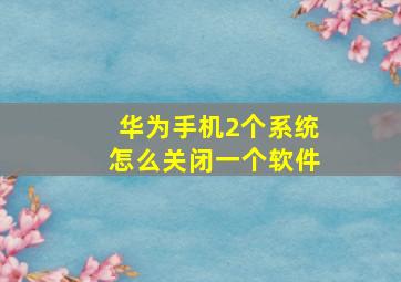 华为手机2个系统怎么关闭一个软件