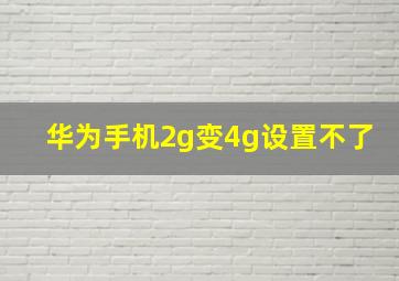 华为手机2g变4g设置不了