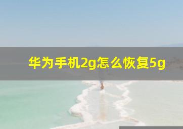 华为手机2g怎么恢复5g