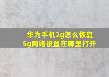 华为手机2g怎么恢复5g网络设置在哪里打开