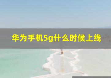 华为手机5g什么时候上线