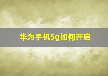 华为手机5g如何开启