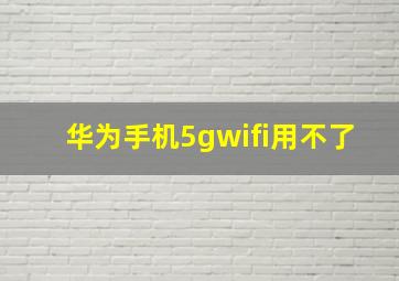 华为手机5gwifi用不了