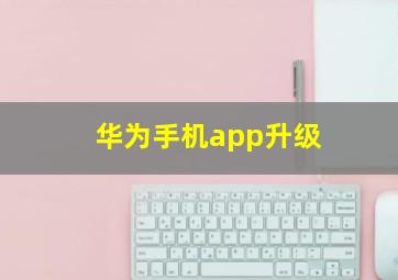 华为手机app升级