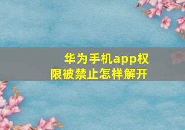 华为手机app权限被禁止怎样解开