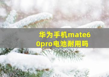 华为手机mate60pro电池耐用吗