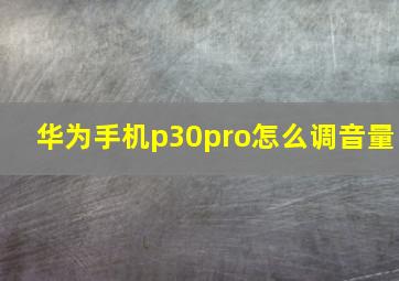 华为手机p30pro怎么调音量