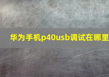 华为手机p40usb调试在哪里