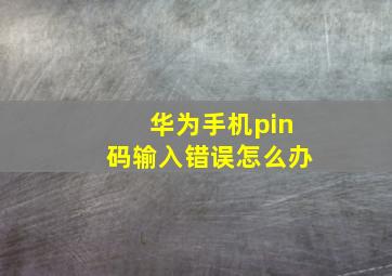 华为手机pin码输入错误怎么办