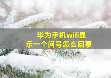 华为手机wifi显示一个问号怎么回事