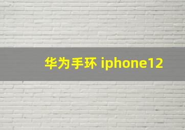 华为手环 iphone12