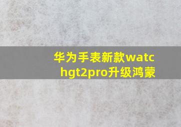 华为手表新款watchgt2pro升级鸿蒙