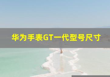 华为手表GT一代型号尺寸