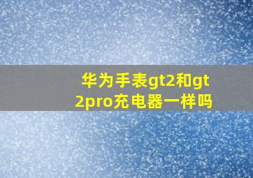 华为手表gt2和gt2pro充电器一样吗