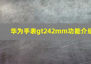 华为手表gt242mm功能介绍