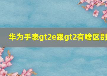 华为手表gt2e跟gt2有啥区别