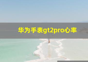 华为手表gt2pro心率