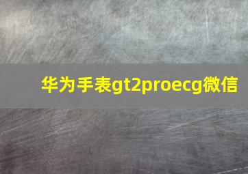 华为手表gt2proecg微信