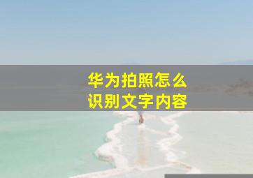 华为拍照怎么识别文字内容