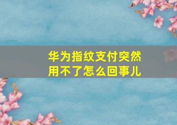 华为指纹支付突然用不了怎么回事儿