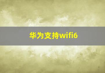 华为支持wifi6+