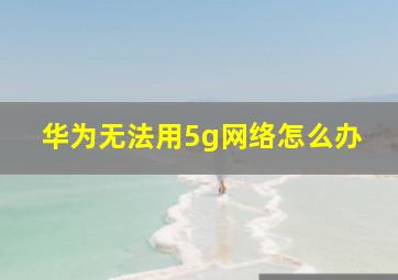 华为无法用5g网络怎么办