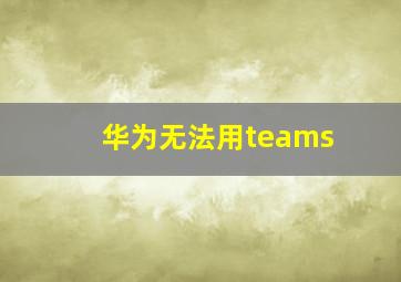 华为无法用teams