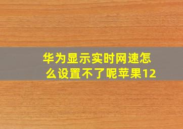 华为显示实时网速怎么设置不了呢苹果12