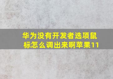 华为没有开发者选项鼠标怎么调出来啊苹果11