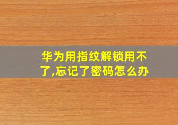 华为用指纹解锁用不了,忘记了密码怎么办