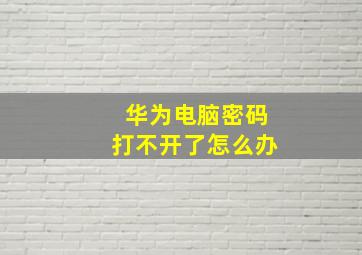 华为电脑密码打不开了怎么办